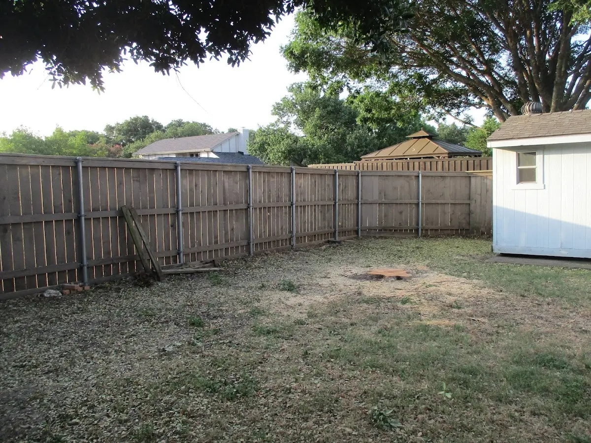 Cleared yard after professional tree removal in Coral